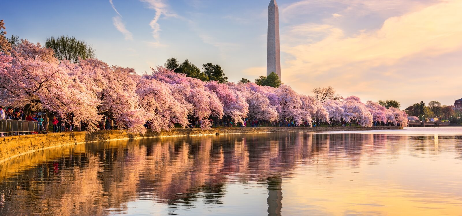 DIA 2025 Event in Washington