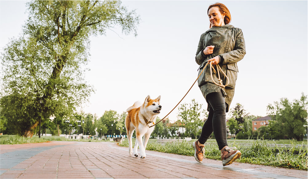 Patient-Centered Endpoints (PaCE)