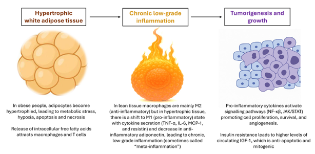 The Role of Metabolic Inflammation and Insulin Resistance in Obesity-Associated Carcinogenesis – A Narrative Review