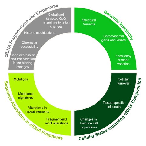 The Landscape of Alterations Detectable in cfDNA